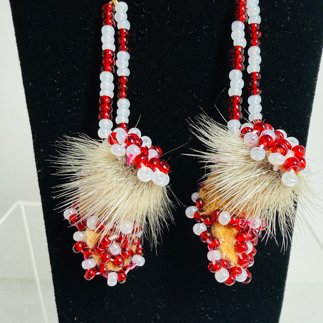 Native beaded earrings & ornaments