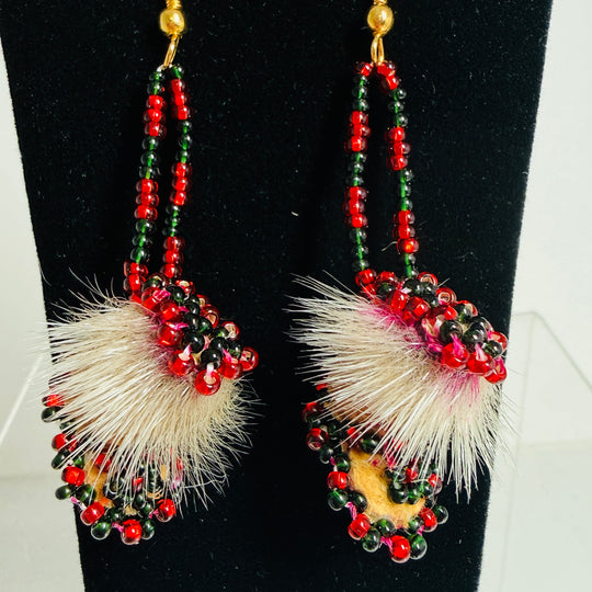 Native beaded earrings & ornaments