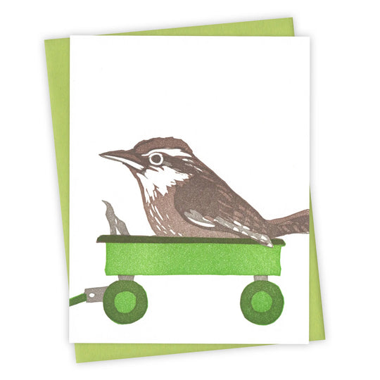 RAVEN CARDS Collection
