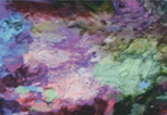 Dupatta  Scarf Collection