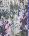 Dupatta  Scarf Collection
