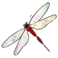 DRAGONFLY SC