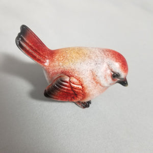 Small Cute Birds
