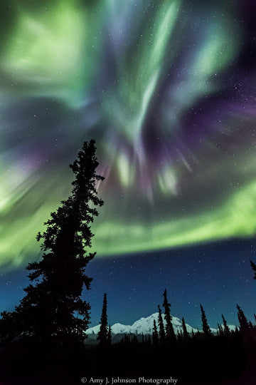 Alaskan Aurora Prints on metal