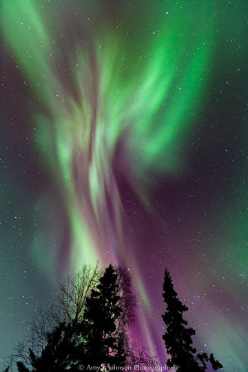 Alaskan Aurora Prints on metal