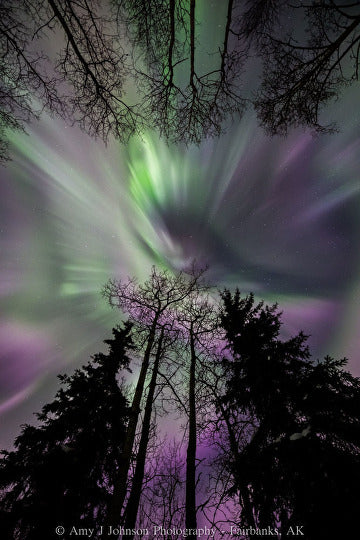 Alaskan Aurora Prints on metal