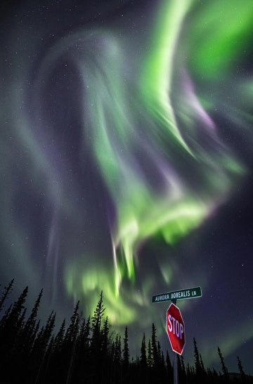 Alaskan Aurora Prints on metal