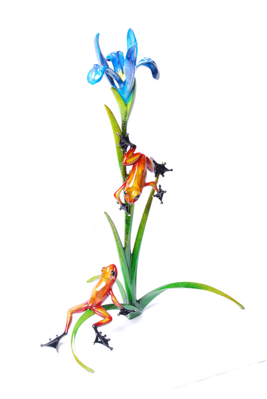 Frogman Bronze Frog collection