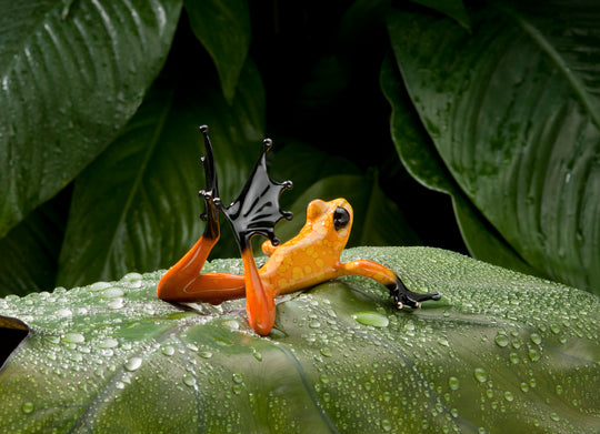 Frogman Bronze Frog collection