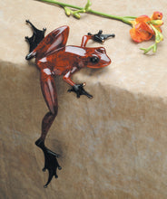 Load image into Gallery viewer, Larger Frogman Bronze collection